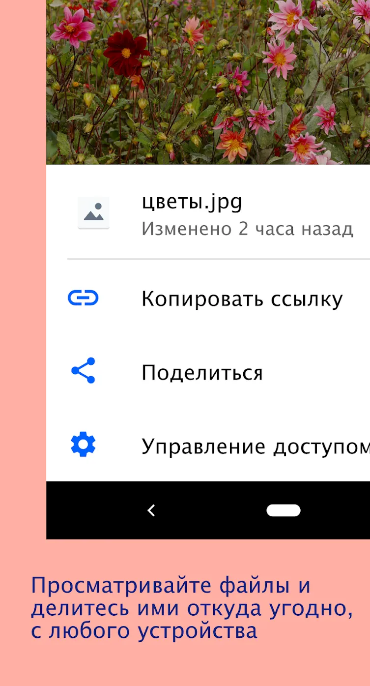 Dropbox Screenshot 2 Dropbox Screenshot 2