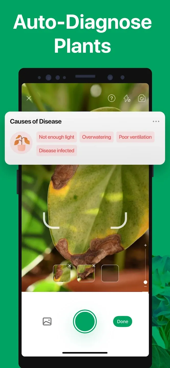 PictureThis - Plant Identifier v5.26.0 APK Мод (Всё открыто, Premium) Screenshot 4