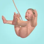 Скачать MOD Idle 9 Months Мод (Много бриллиантов) на Андроид