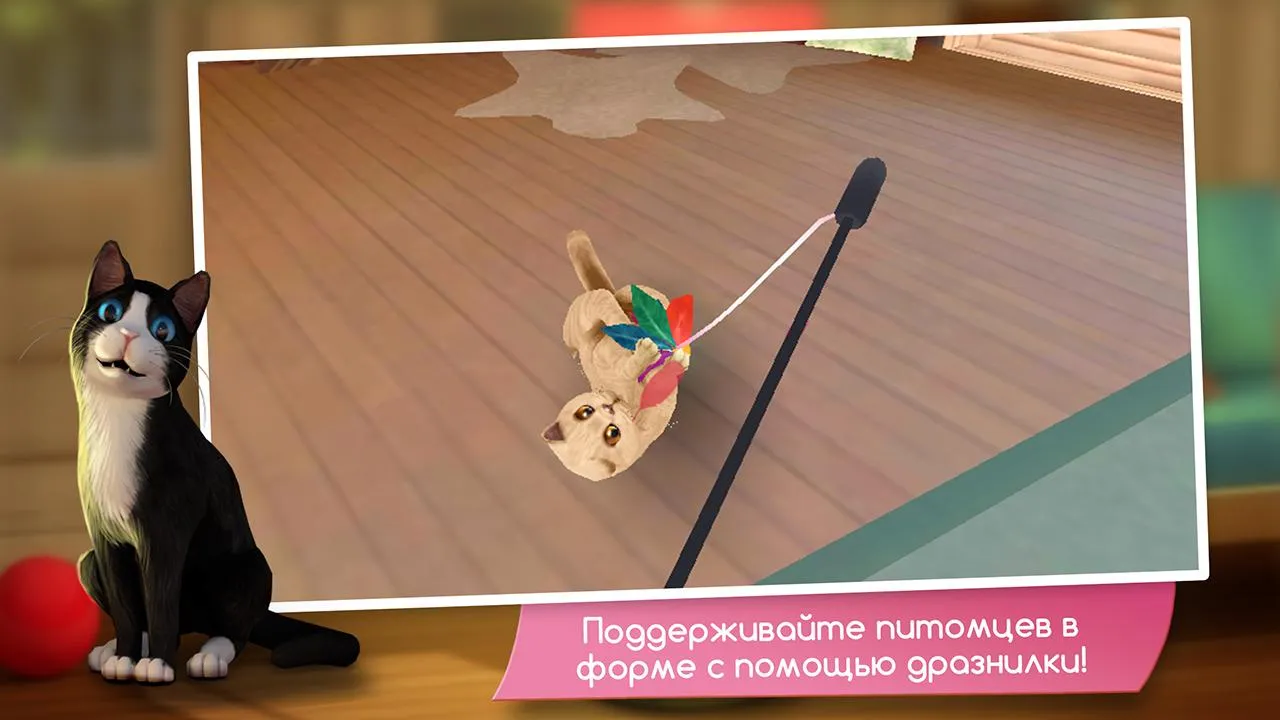 CatHotel – Мой приют для кошек [мод: всё открыто] Screenshot 2