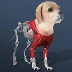 Скачать MOD Idle Pet – Create cell by cell [мод: бесплатные покупки] на Андроид
