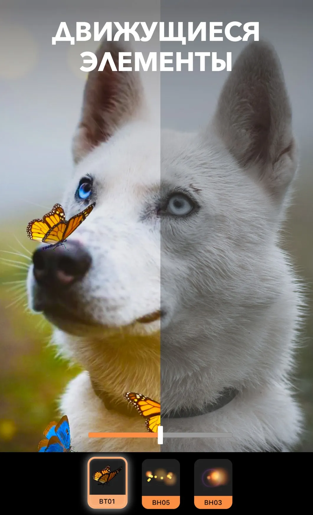 Motionleap от Lightricks Pro [мод: всё открыто] Screenshot 3