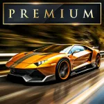 Скачать взлом MR RACER : Premium Мод (Много денег) на Андроид