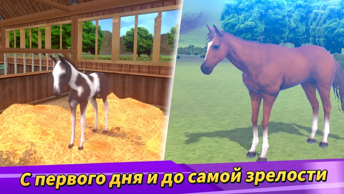 Derby Life [мод: меню] Screenshot 3