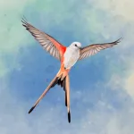 Скачать MOD Wingspan (Крылья) Мод (Полная версия) на Андроид