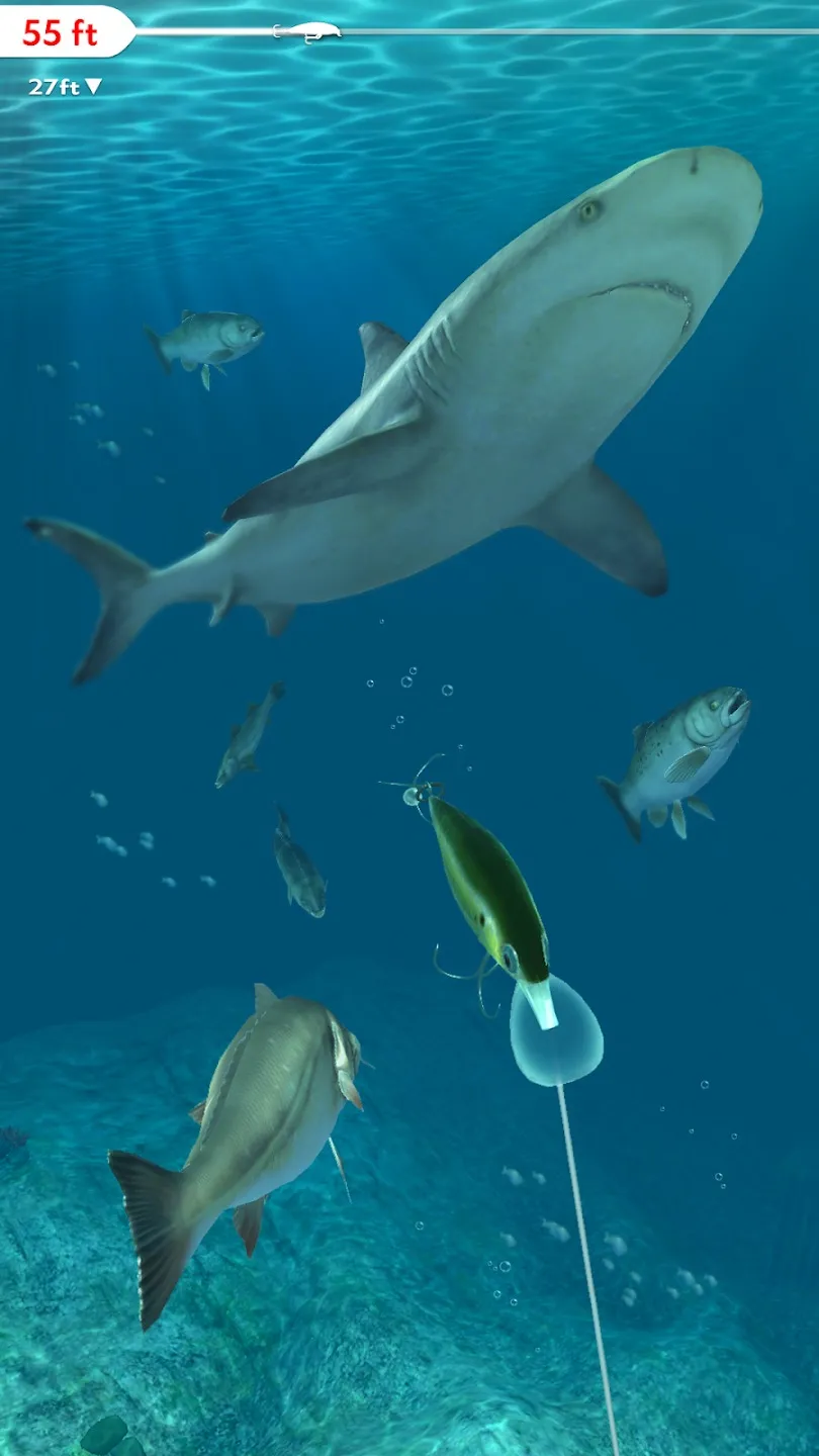 Rapala Fishing – Daily Catch [мод: много денег] Screenshot 3