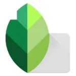 Скачать MOD Snapseed на Андроид